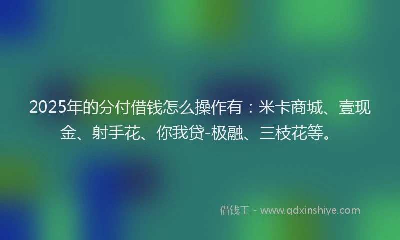 2025年的分付借钱怎么操作有:米卡商城、壹现金、射手花、你我贷-极融、三枝花等。