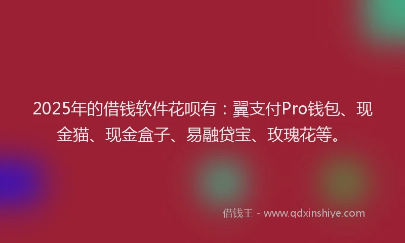 2025年的借钱软件花呗有:翼支付Pro钱包、现金猫、现金盒子、易融贷宝、玫瑰花等。