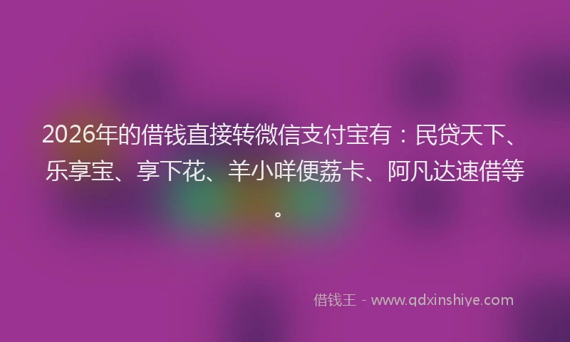 2026年的借钱直接转微信支付宝有：民贷天下、乐享宝、享下花、羊小咩便荔卡、阿凡达速借等。