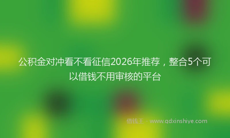 公积金对冲看不看征信2026年推荐，整合5个可以借钱不用审核的平台