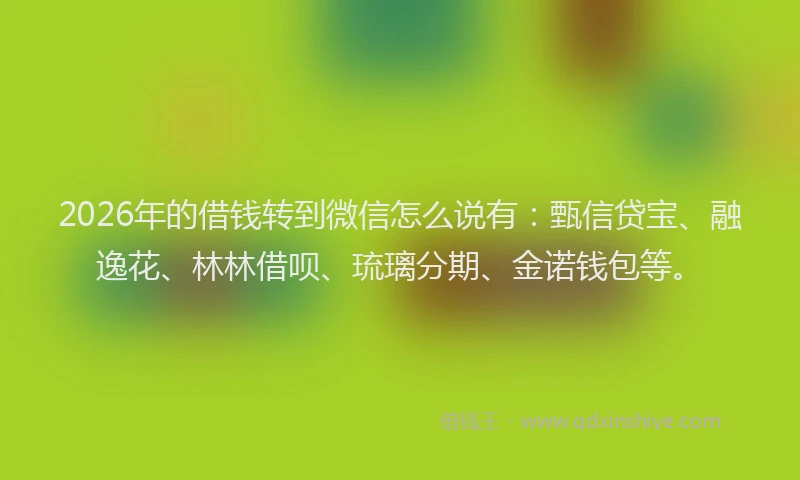 2026年的借钱转到微信怎么说有：甄信贷宝、融逸花、林林借呗、琉璃分期、金诺钱包等。