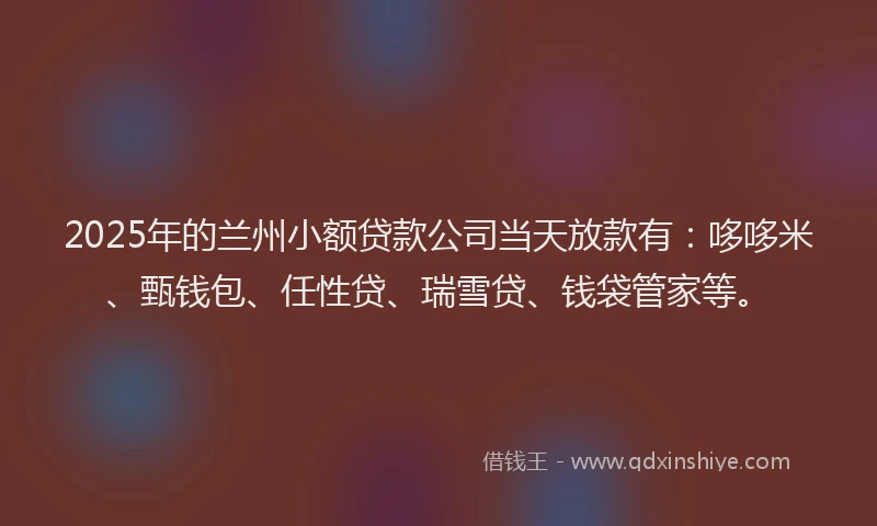 2025年的兰州小额贷款公司当天放款有:哆哆米、甄钱包、任性贷、瑞雪贷、钱袋管家等。
