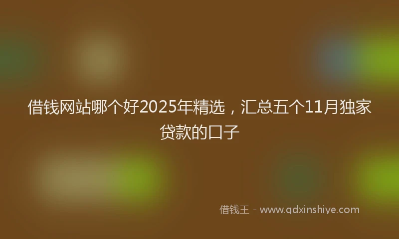 借钱网站哪个好2025年精选，汇总五个11月独家贷款的口子