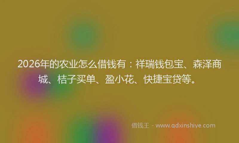 2026年的农业怎么借钱有：祥瑞钱包宝、森泽商城、桔子买单、盈小花、快捷宝贷等。
