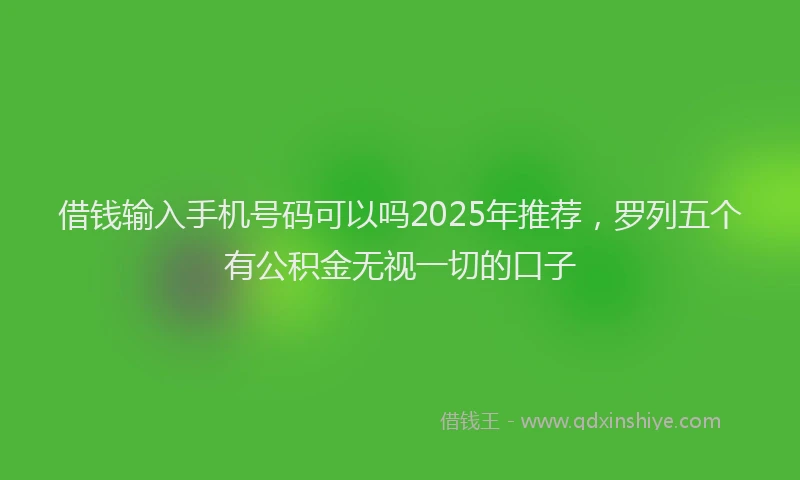 借钱输入手机号码可以吗2025年推荐，罗列五个有公积金无视一切的口子