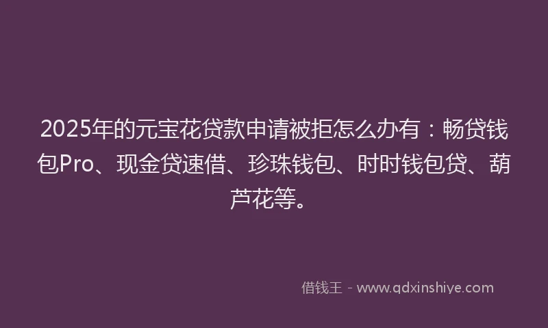 2025年的元宝花贷款申请被拒怎么办有:畅贷钱包Pro、现金贷速借、珍珠钱包、时时钱包贷、葫芦花等。