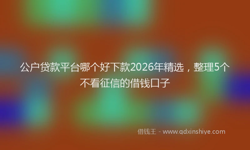 公户贷款平台哪个好下款2026年精选，整理5个不看征信的借钱口子