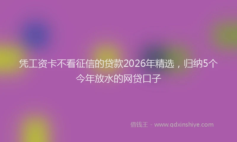 凭工资卡不看征信的贷款2026年精选，归纳5个今年放水的网贷口子