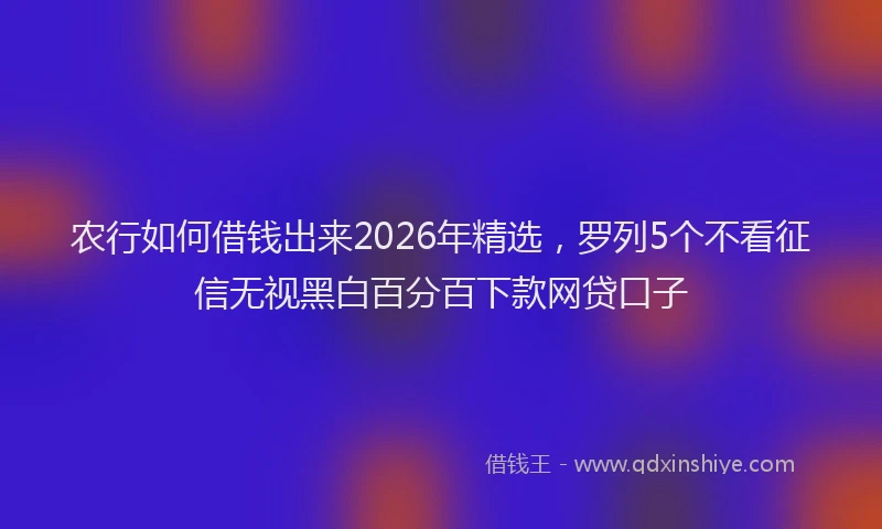 农行如何借钱出来2026年精选，罗列5个不看征信无视黑白百分百下款网贷口子