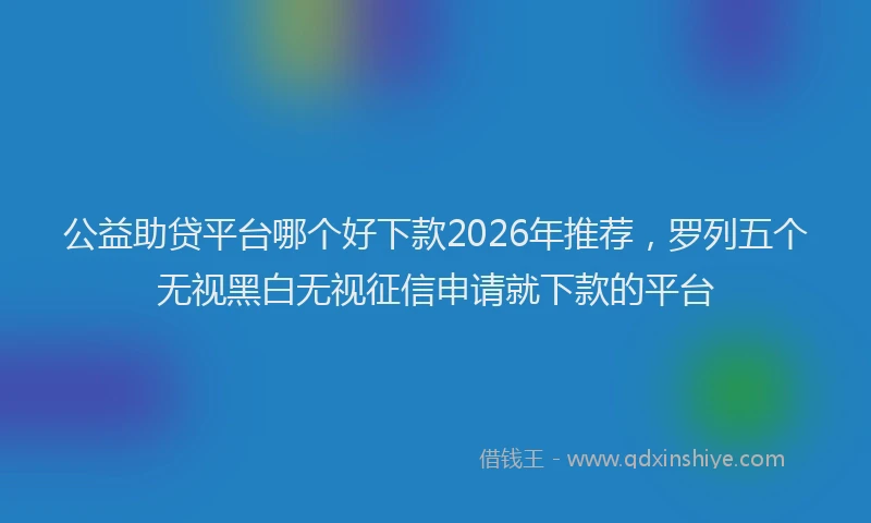 公益助贷平台哪个好下款2026年推荐，罗列五个无视黑白无视征信申请就下款的平台