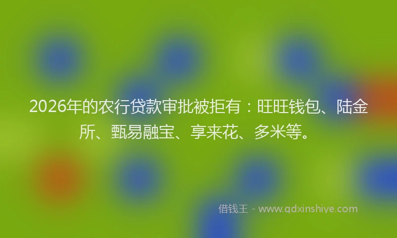 2026年的农行贷款审批被拒有:旺旺钱包、陆金所、甄易融宝、享来花、多米等。