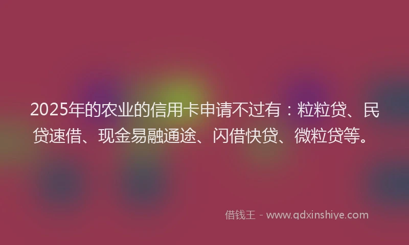2025年的农业的信用卡申请不过有：粒粒贷、民贷速借、现金易融通途、闪借快贷、微粒贷等。
