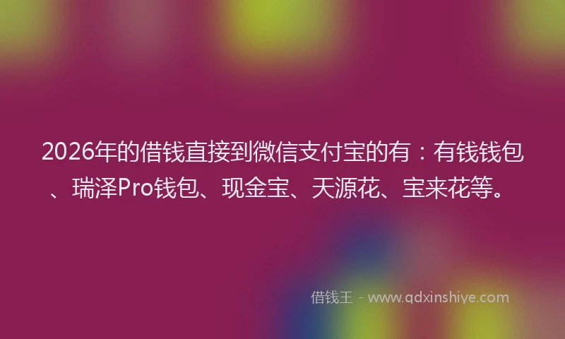 2026年的借钱直接到微信支付宝的有：有钱钱包、瑞泽Pro钱包、现金宝、天源花、宝来花等。