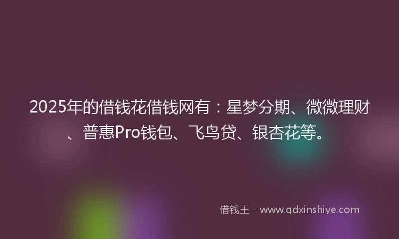 2025年的借钱花借钱网有：星梦分期、微微理财、普惠Pro钱包、飞鸟贷、银杏花等。