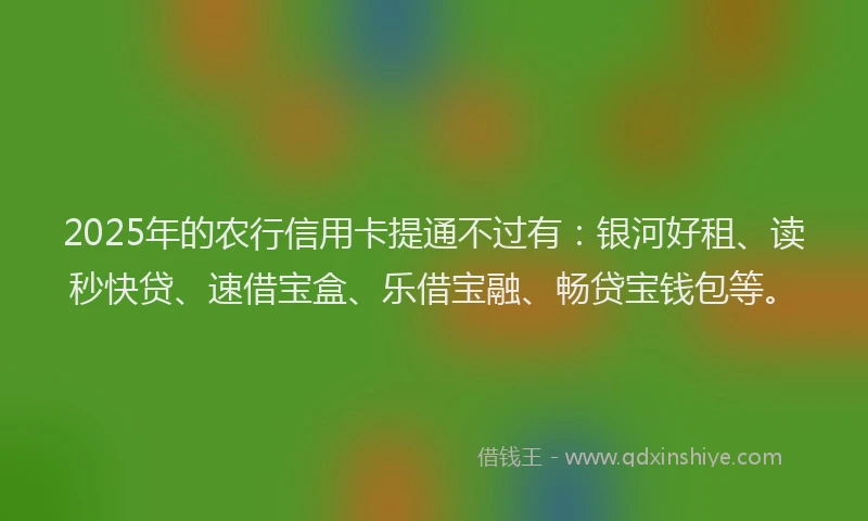 2025年的农行信用卡提通不过有:银河好租、读秒快贷、速借宝盒、乐借宝融、畅贷宝钱包等。