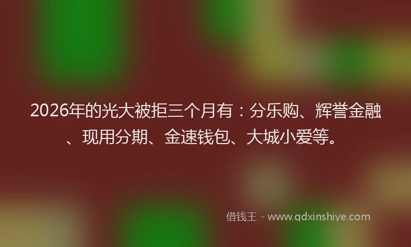 2026年的光大被拒三个月有：分乐购、辉誉金融、现用分期、金速钱包、大城小爱等。