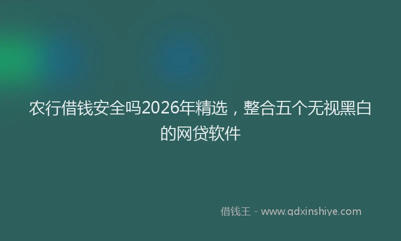 农行借钱安全吗2026年精选，整合五个无视黑白的网贷软件