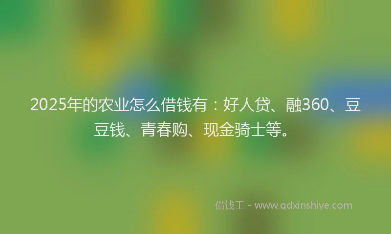 2025年的农业怎么借钱有：好人贷、融360、豆豆钱、青春购、现金骑士等。