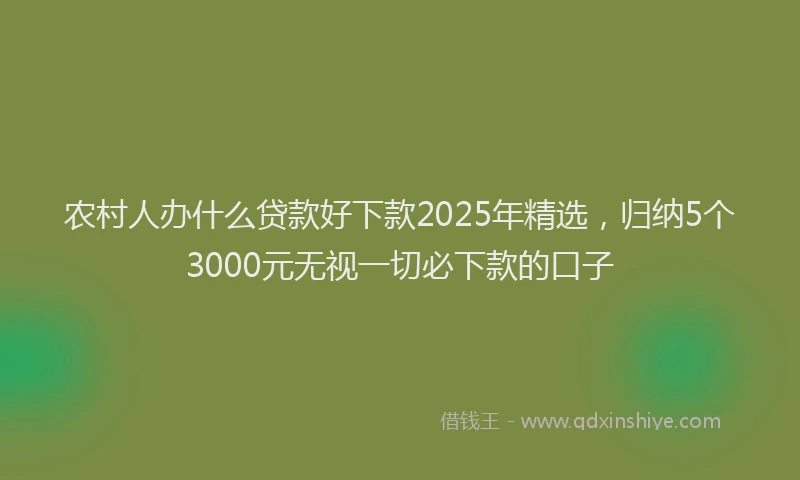 农村人办什么贷款好下款2025年精选，归纳5个3000元无视一切必下款的口子