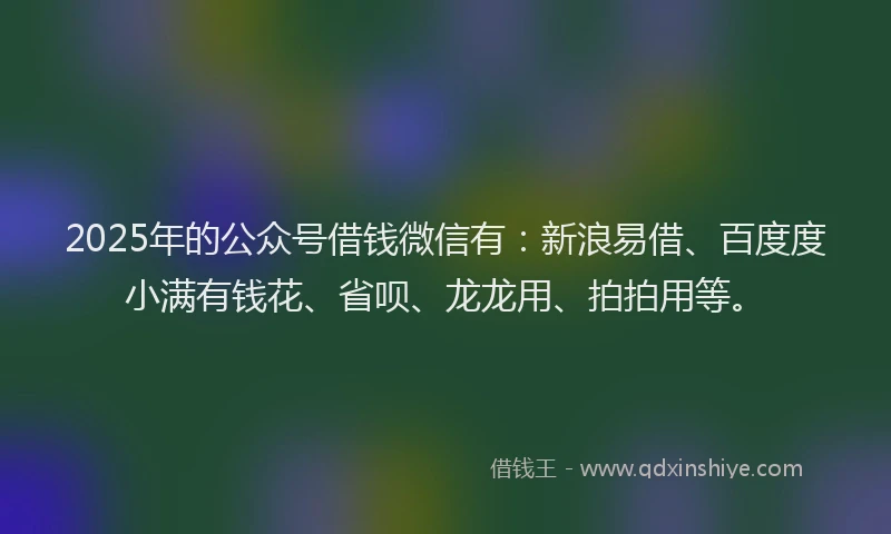 2025年的公众号借钱微信有：新浪易借、百度度小满有钱花、省呗、龙龙用、拍拍用等。