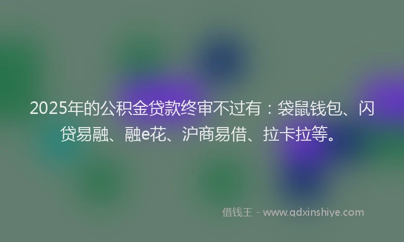 2025年的公积金贷款终审不过有：袋鼠钱包、闪贷易融、融e花、沪商易借、拉卡拉等。