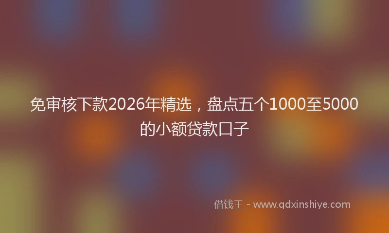 免审核下款2026年精选，盘点五个1000至5000的小额贷款口子