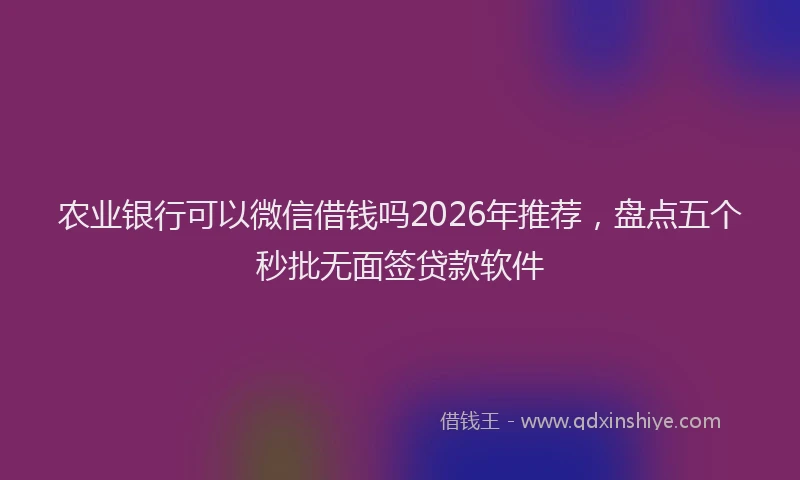 农业银行可以微信借钱吗2026年推荐，盘点五个秒批无面签贷款软件