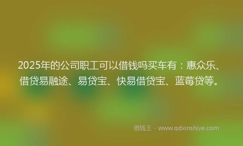 2025年的公司职工可以借钱吗买车有：惠众乐、借贷易融途、易贷宝、快易借贷宝、蓝莓贷等。