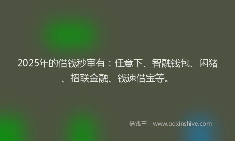 2025年的借钱秒审有:任意下、智融钱包、闲猪、招联金融、钱速借宝等。