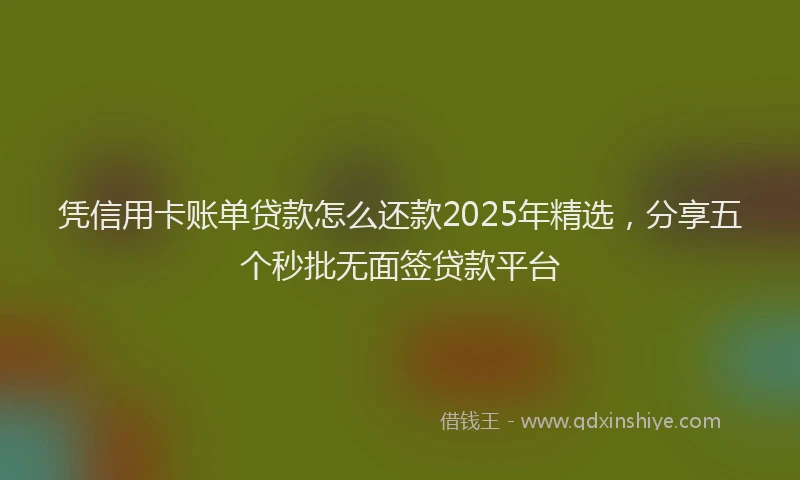 凭信用卡账单贷款怎么还款2025年精选，分享五个秒批无面签贷款平台