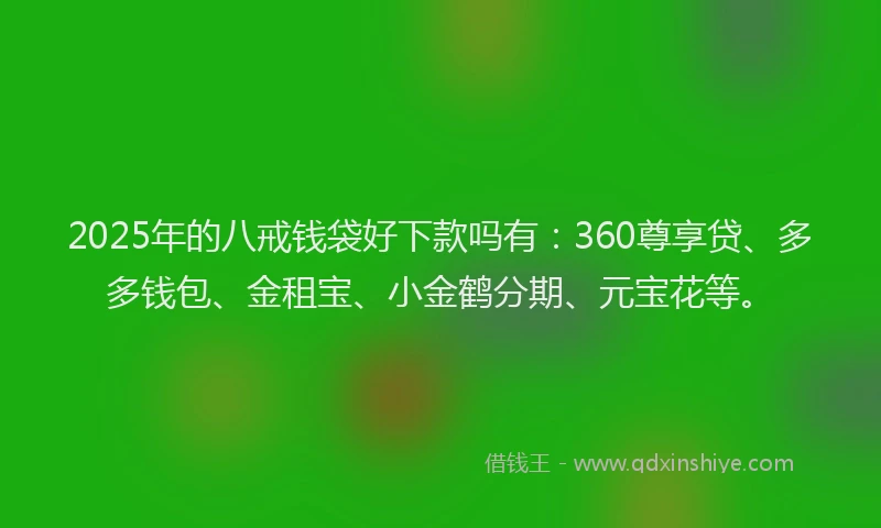 2025年的八戒钱袋好下款吗有：360尊享贷、多多钱包、金租宝、小金鹤分期、元宝花等。