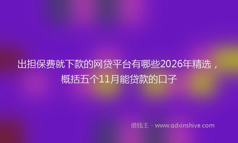 出担保费就下款的网贷平台有哪些2026年精选，概括五个11月能贷款的口子