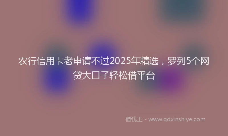 农行信用卡老申请不过2025年精选，罗列5个网贷大口子轻松借平台