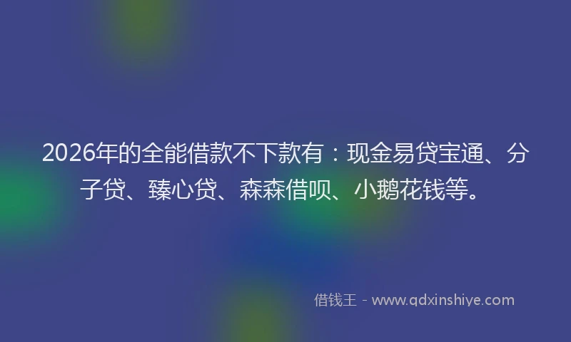 2026年的全能借款不下款有：现金易贷宝通、分子贷、臻心贷、森森借呗、小鹅花钱等。