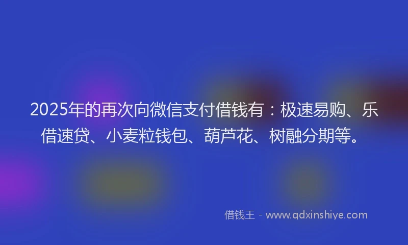2025年的再次向微信支付借钱有:极速易购、乐借速贷、小麦粒钱包、葫芦花、树融分期等。