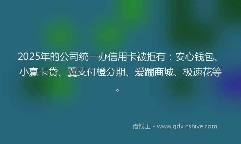 2025年的公司统一办信用卡被拒有：安心钱包、小赢卡贷、翼支付橙分期、爱蹦商城、极速花等。