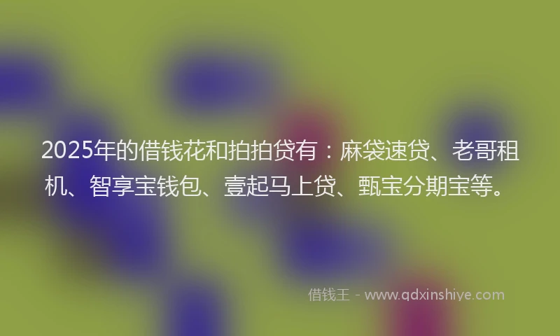 2025年的借钱花和拍拍贷有:麻袋速贷、老哥租机、智享宝钱包、壹起马上贷、甄宝分期宝等。