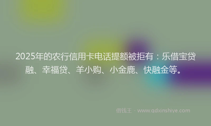 2025年的农行信用卡电话提额被拒有：乐借宝贷融、幸福贷、羊小购、小金鹿、快融金等。