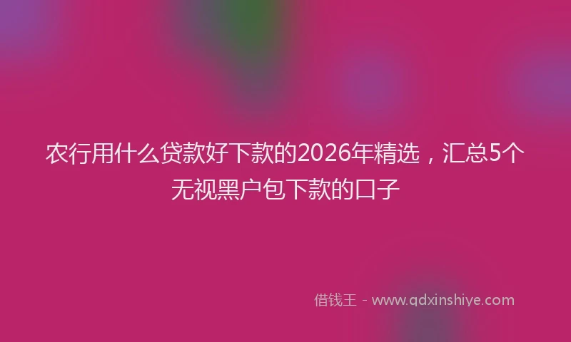 农行用什么贷款好下款的2026年精选，汇总5个无视黑户包下款的口子