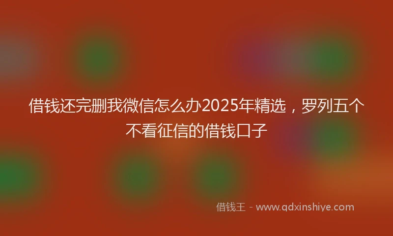 借钱还完删我微信怎么办2025年精选，罗列五个不看征信的借钱口子