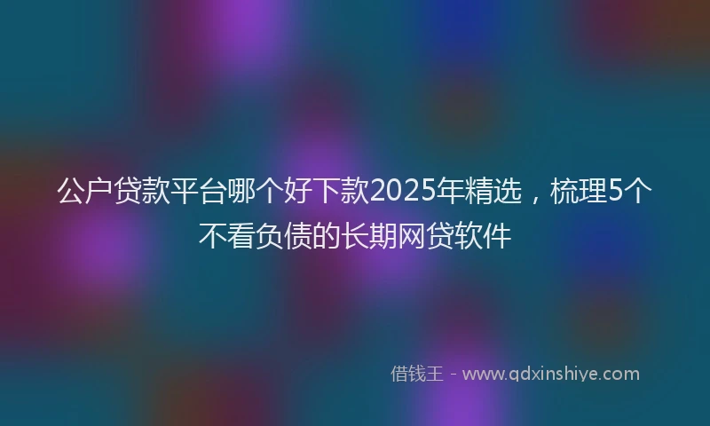 公户贷款平台哪个好下款2025年精选，梳理5个不看负债的长期网贷软件