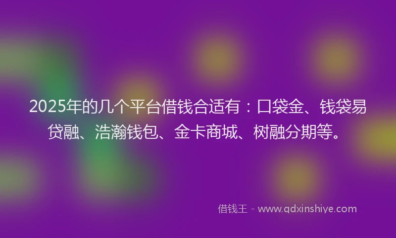 2025年的几个平台借钱合适有:口袋金、钱袋易贷融、浩瀚钱包、金卡商城、树融分期等。