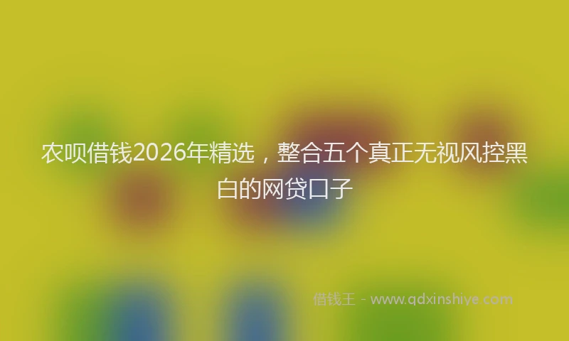 农呗借钱2026年精选，整合五个真正无视风控黑白的网贷口子