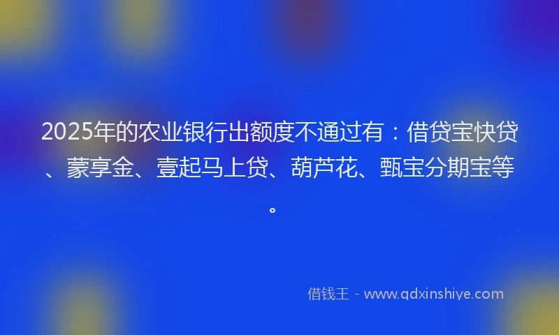 2025年的农业银行出额度不通过有:借贷宝快贷、蒙享金、壹起马上贷、葫芦花、甄宝分期宝等。