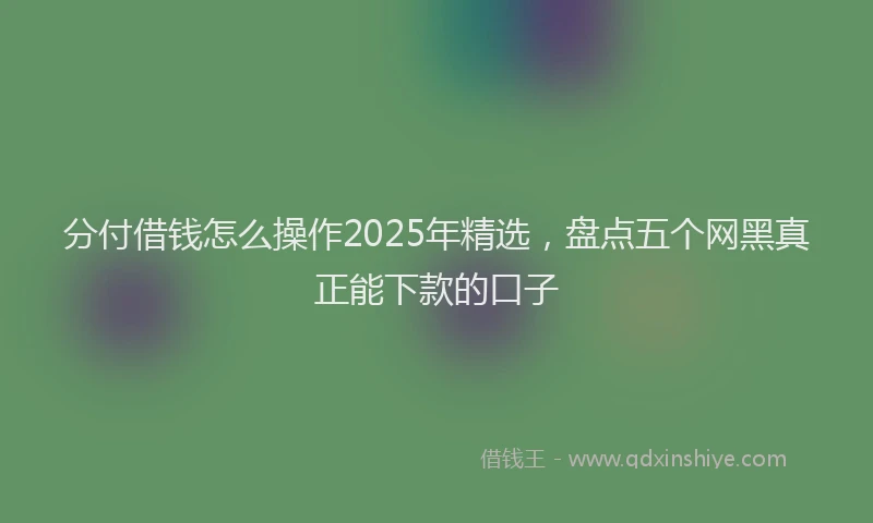 分付借钱怎么操作2025年精选,盘点五个网黑真正能下款的口子