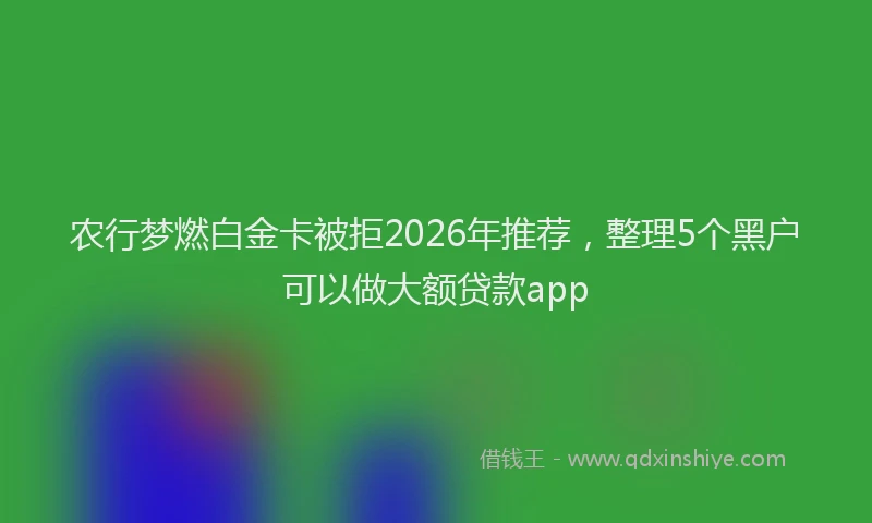 农行梦燃白金卡被拒2026年推荐，整理5个黑户可以做大额贷款app