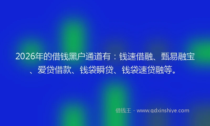 2026年的借钱黑户通道有：钱速借融、甄易融宝、爱贷借款、钱袋瞬贷、钱袋速贷融等。