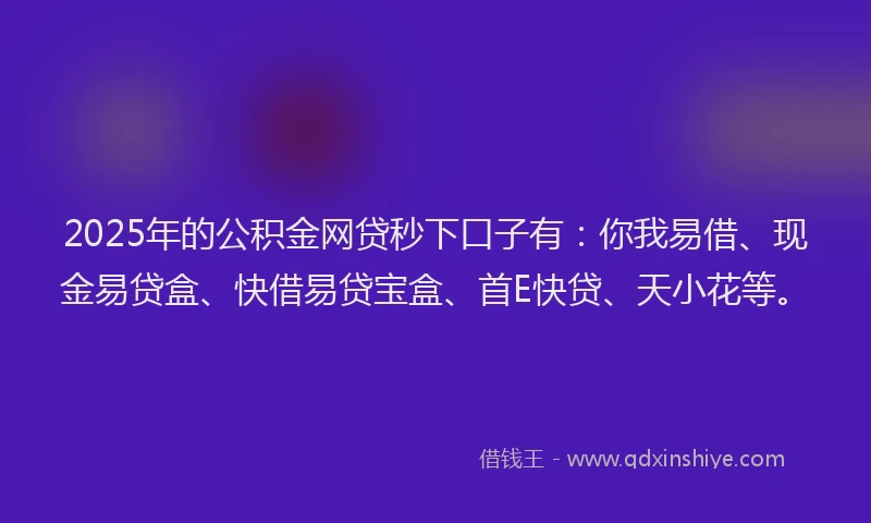 2025年的公积金网贷秒下口子有：你我易借、现金易贷盒、快借易贷宝盒、首E快贷、天小花等。