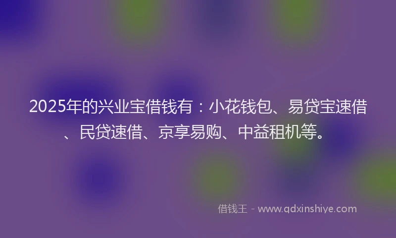 2025年的兴业宝借钱有：小花钱包、易贷宝速借、民贷速借、京享易购、中益租机等。