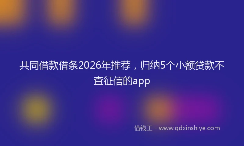 共同借款借条2026年推荐,归纳5个小额贷款不查征信的app